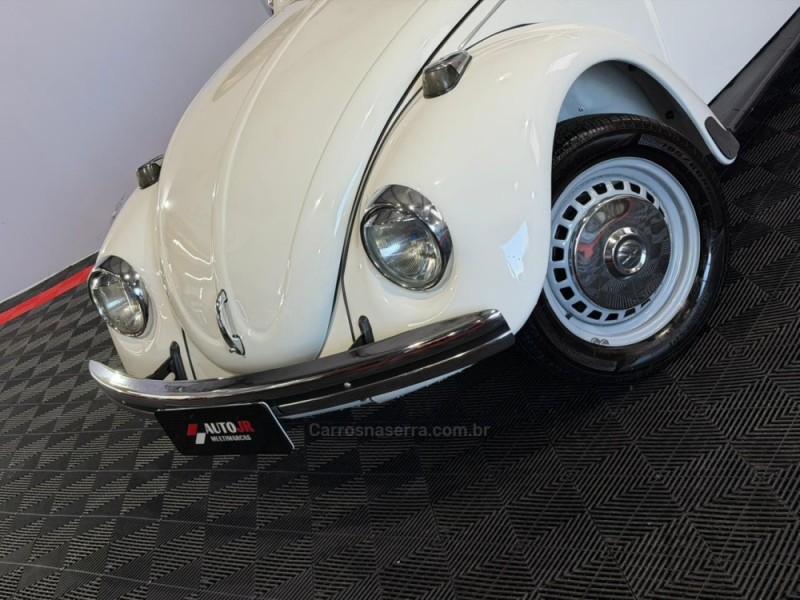 FUSCA 1300 - 1981 - VACARIA