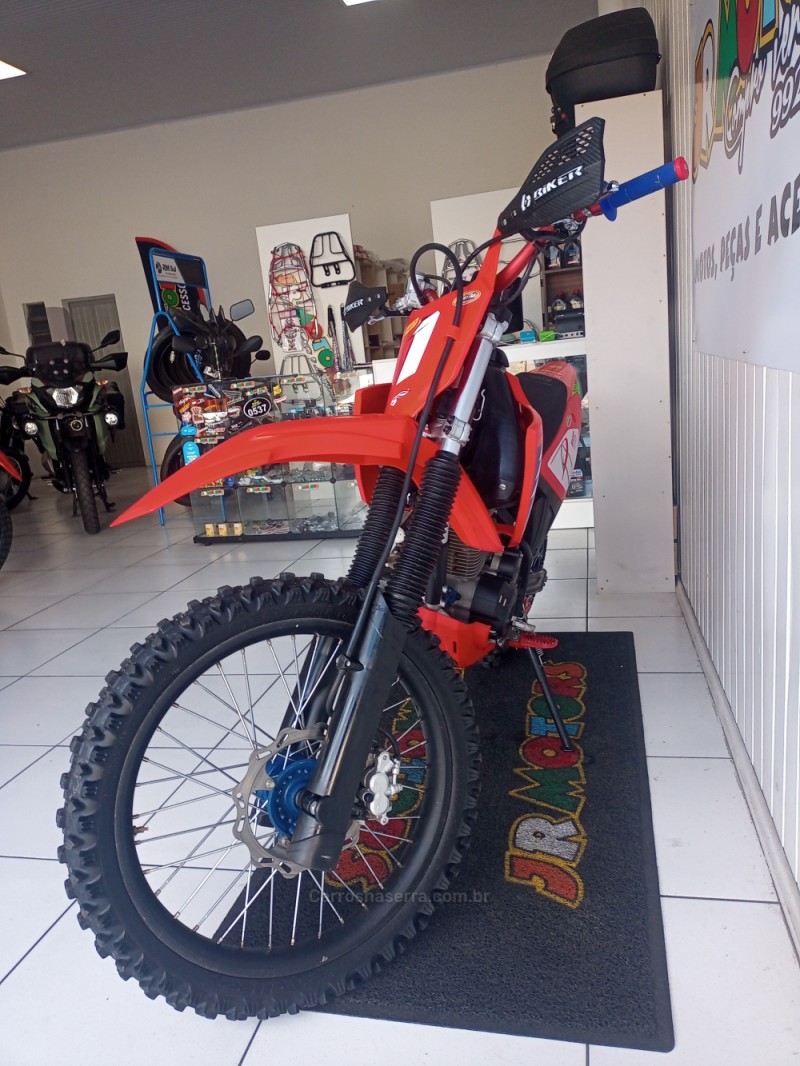 CRF 230F  - 2010 - CAXIAS DO SUL