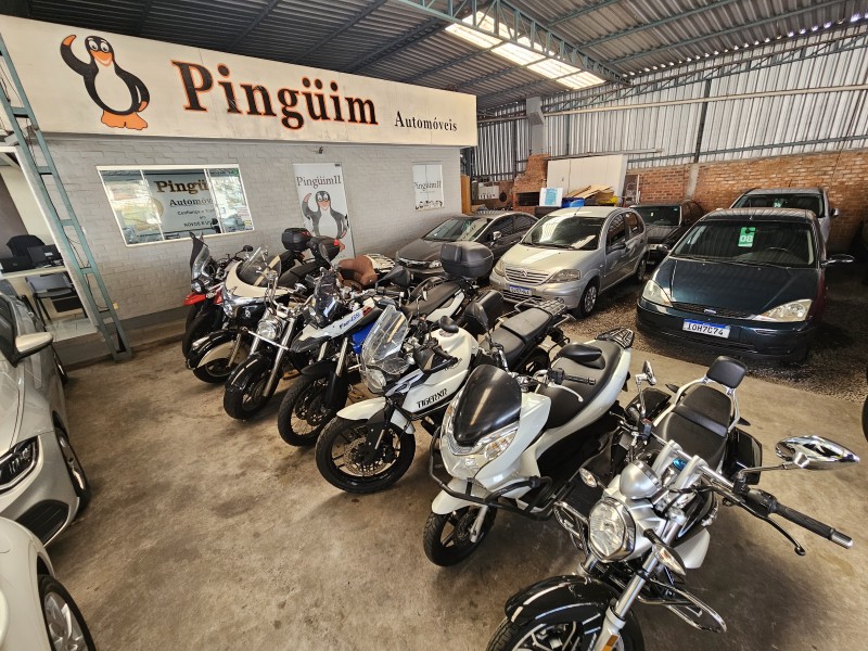 INTERCEPTOR 650 ORANGE CRUSH - 2025 - CAXIAS DO SUL