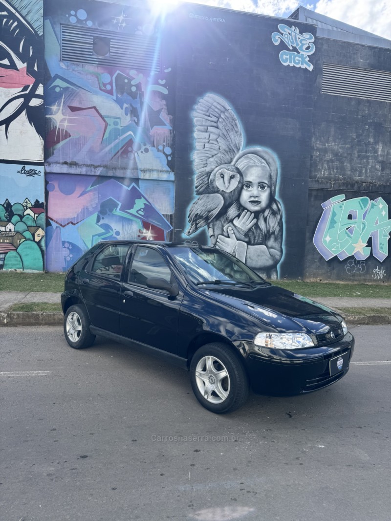 palio 1.0 mpi elx 30 anos 8v flex 4p manual 2006 caxias do sul