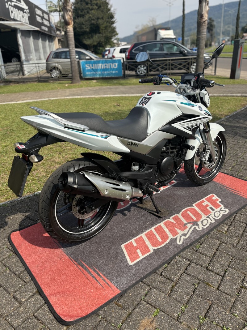 FAZER YS 250 BLUEFLEX - 2016 - FELIZ