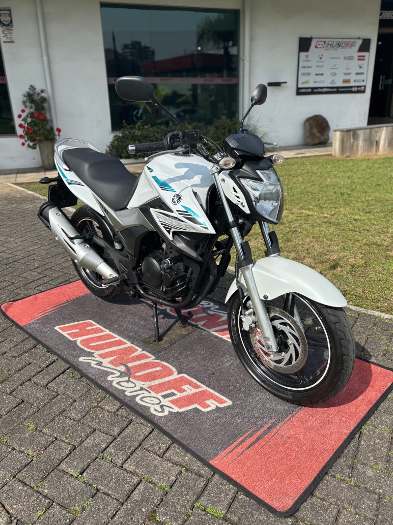 FAZER YS 250 BLUEFLEX - 2016 - FELIZ