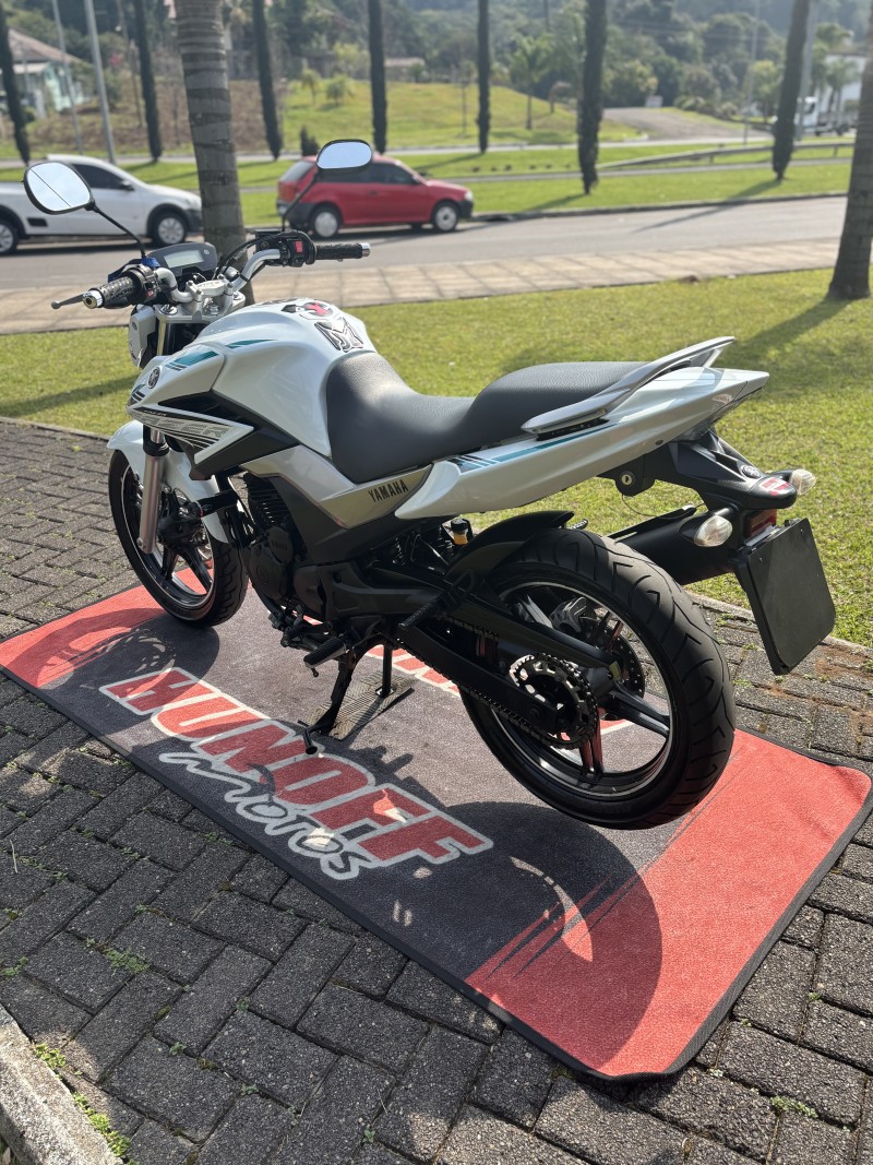 FAZER YS 250 BLUEFLEX - 2016 - FELIZ
