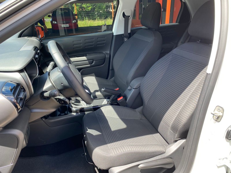 C4 CACTUS  - 2022 - CANELA