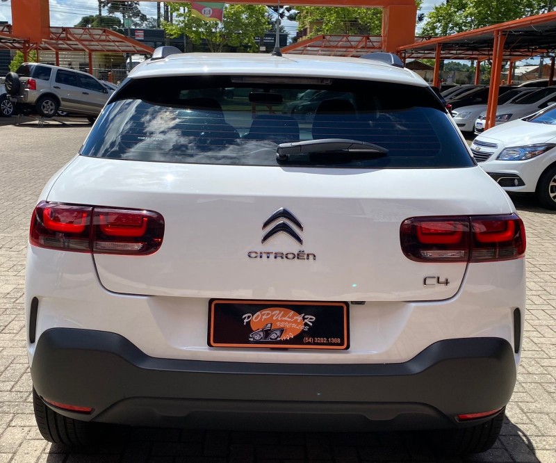 C4 CACTUS  - 2022 - CANELA