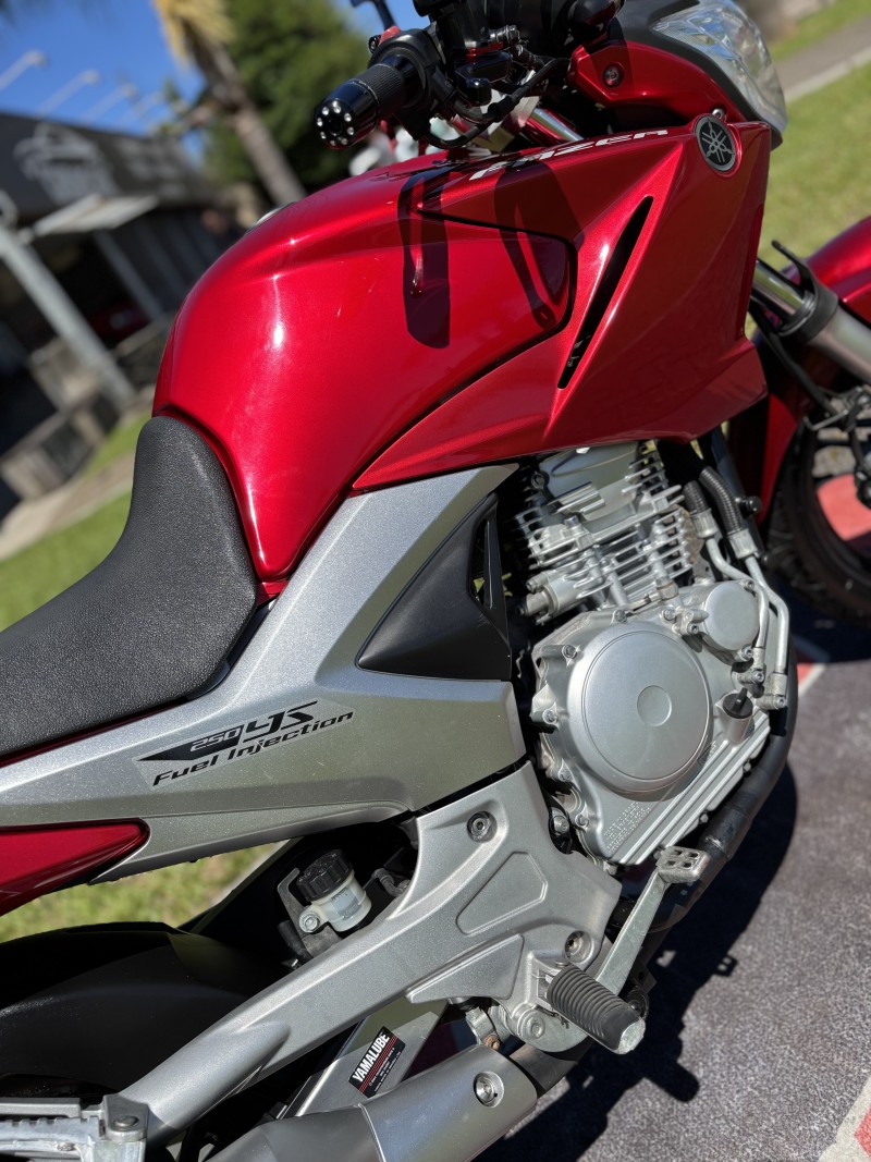 FAZER YS 250 - 2013 - FELIZ
