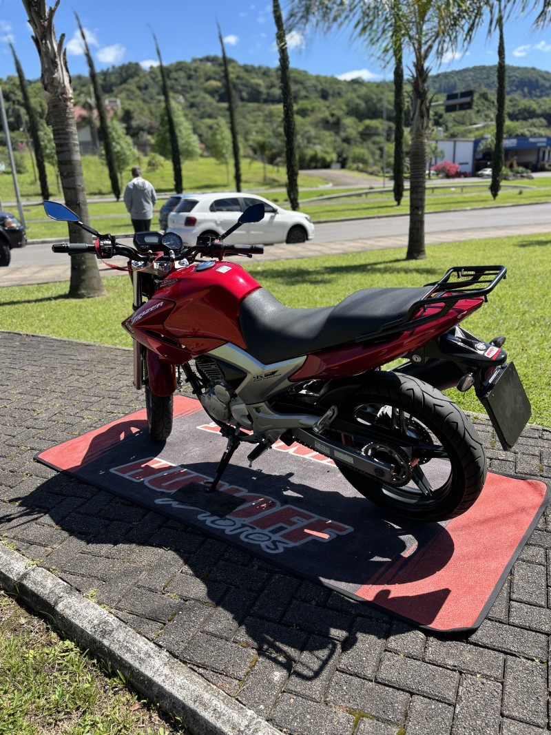 FAZER YS 250 - 2013 - FELIZ