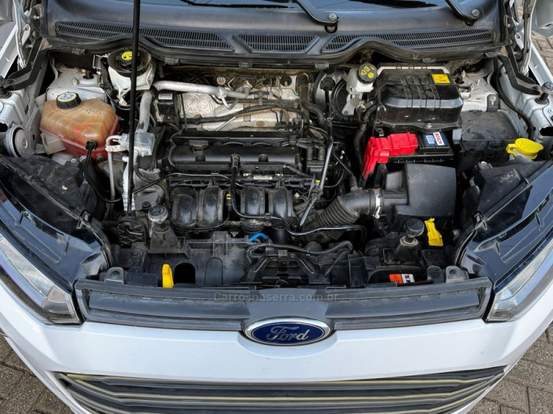 ECOSPORT 1.6 FREESTYLE 8V FLEX 4P MANUAL - 2014 - TRêS COROAS