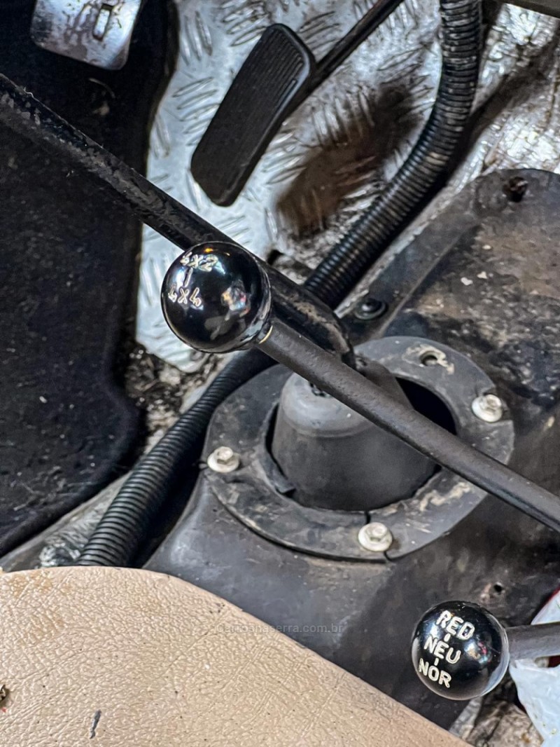 JEEP  - 1943 - CANELA