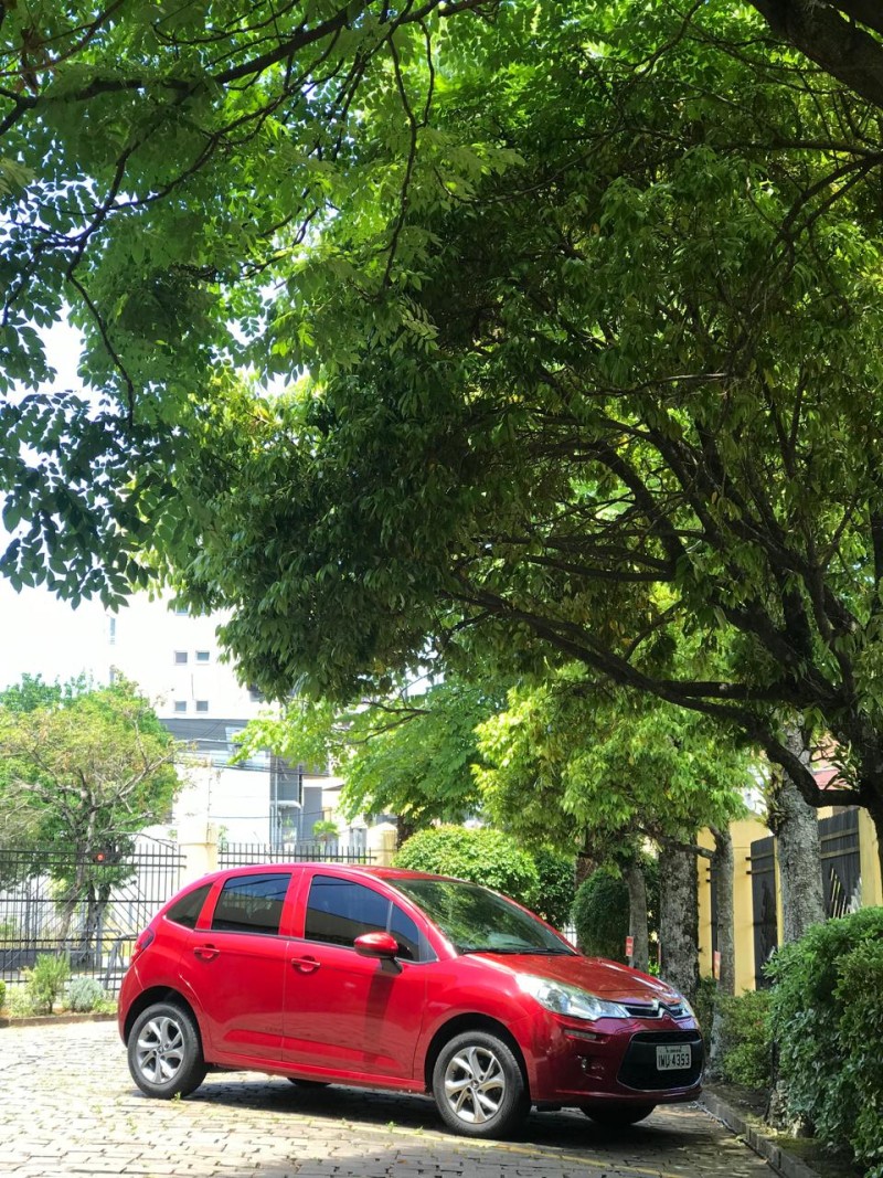 C3  - 2015 - CAXIAS DO SUL