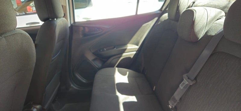 CRONOS  - 2024 - CANELA