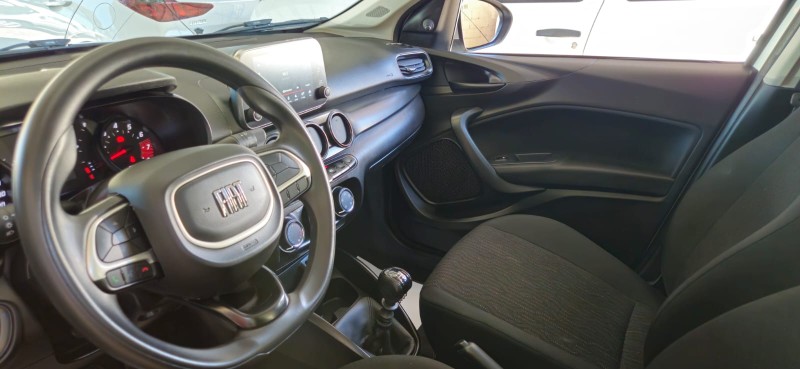 CRONOS  - 2024 - CANELA