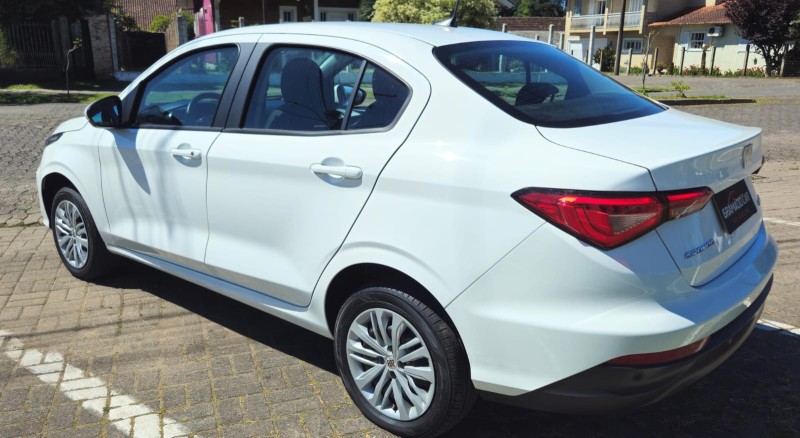 CRONOS  - 2024 - CANELA