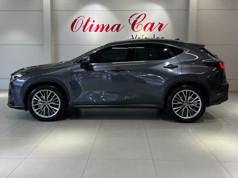 NX350 H 2.5 LUXURY 4X4 16V HÍBRIDO 4P AUTOMÁTICO - 2026 - FLORES DA CUNHA