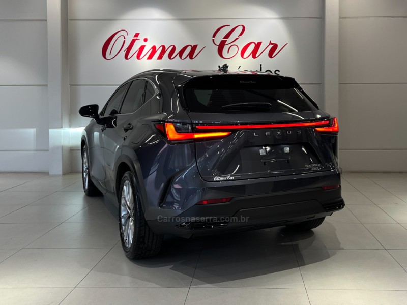 NX350 H 2.5 LUXURY 4X4 16V HÍBRIDO 4P AUTOMÁTICO - 2026 - FLORES DA CUNHA