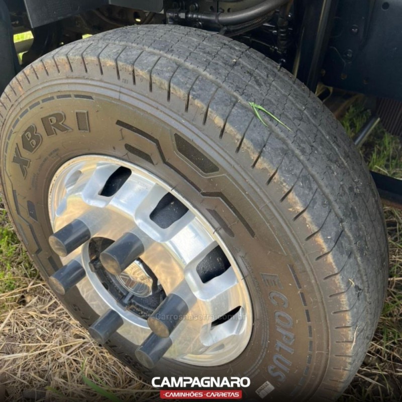 9-170  - 2021 - VACARIA