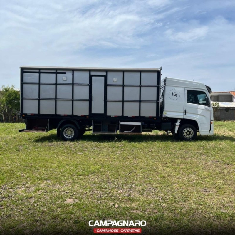 9-170  - 2021 - VACARIA