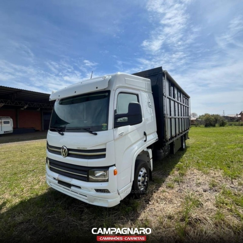 9-170  - 2021 - VACARIA