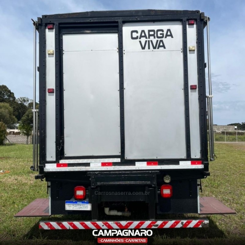 9-170  - 2021 - VACARIA