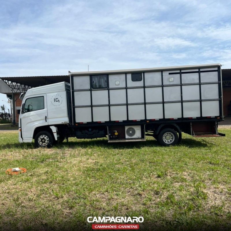 9-170  - 2021 - VACARIA