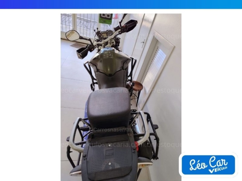 TIGER 800XC  - 2014 - VACARIA