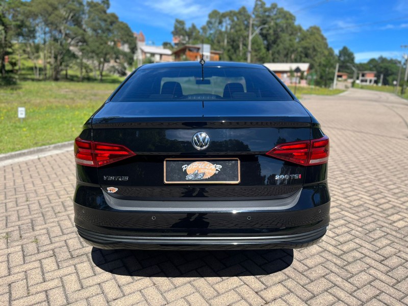 VIRTUS  - 2021 - CANELA