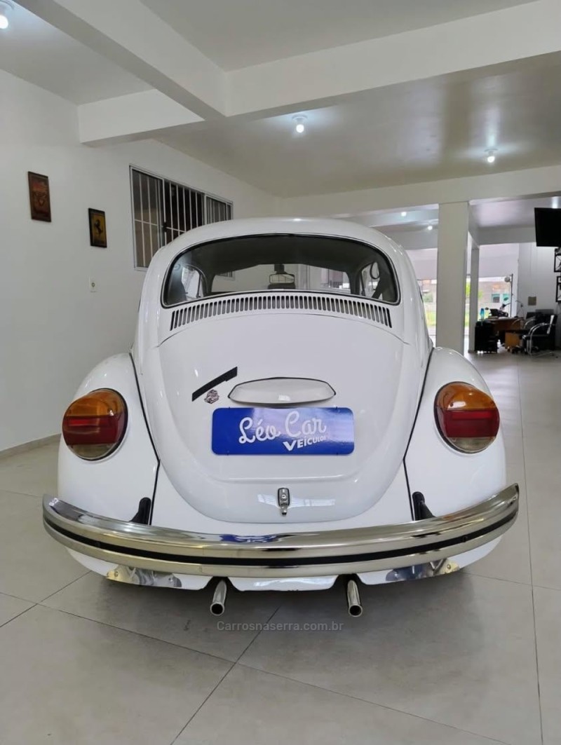 FUSCA 1300 - 1981 - VACARIA