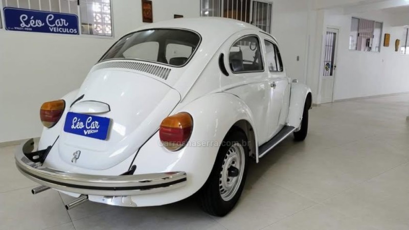 FUSCA 1300 - 1981 - VACARIA
