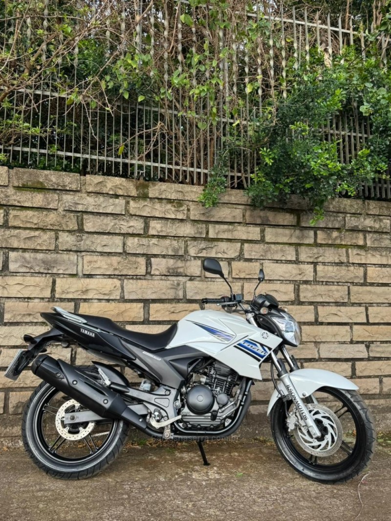 FAZER YS 250 - 2014 - LAJEADO