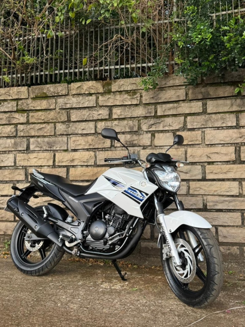 FAZER YS 250 - 2014 - LAJEADO