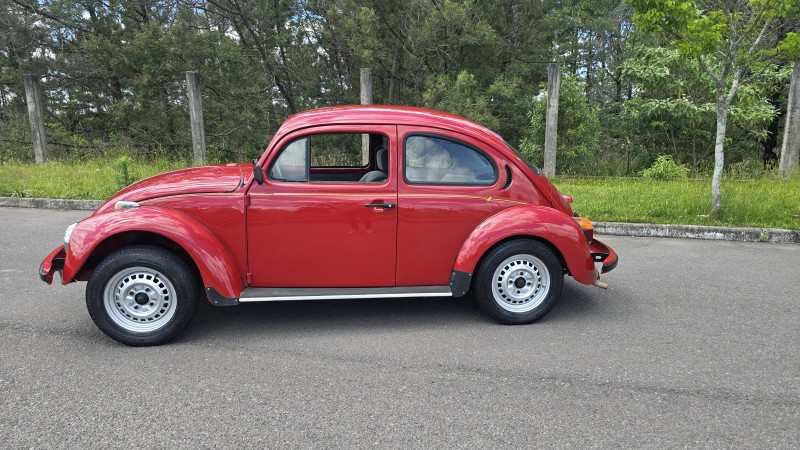 FUSCA 1.6 8V GASOLINA 2P MANUAL - 1995 - BENTO GONçALVES