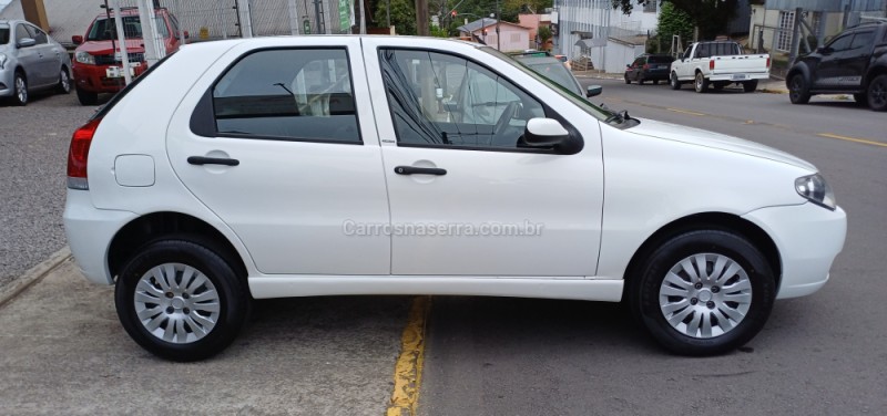 PALIO 1.0 MPI FIRE ECONOMY 8V FLEX 4P MANUAL - 2011 - FARROUPILHA