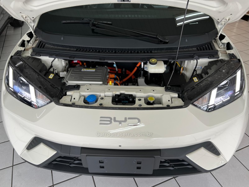 DOLPHIN MINI ELÉTRICO 4P AUTOMÁTICO - 2026 - CAXIAS DO SUL