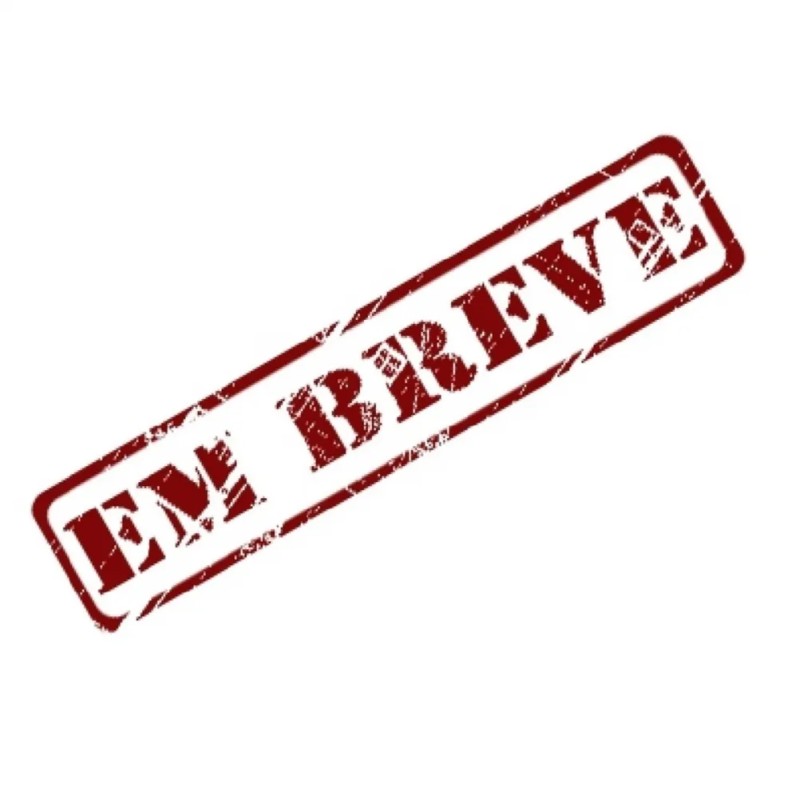 c3 1.6 exclusive 16v flex 4p manual 2007 farroupilha