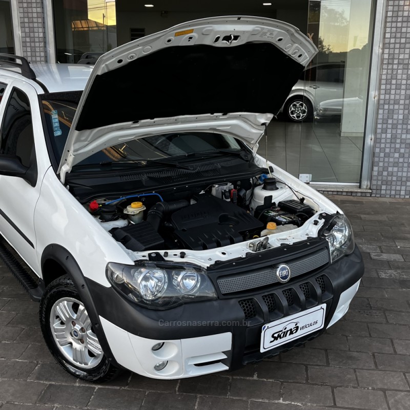 PALIO 1.8 MPI ADVENTURE WEEKEND 8V FLEX 4P MANUAL - 2007 - VACARIA