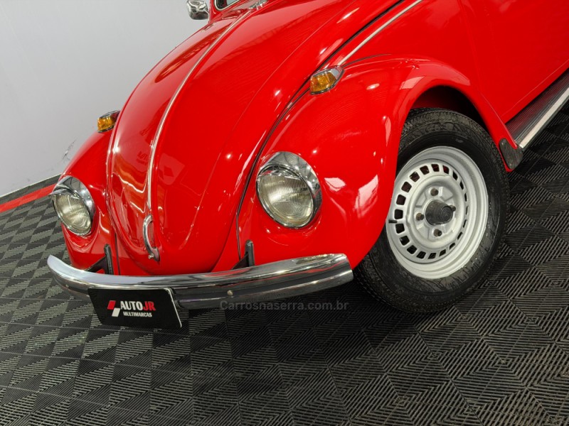 FUSCA  - 1973 - VACARIA