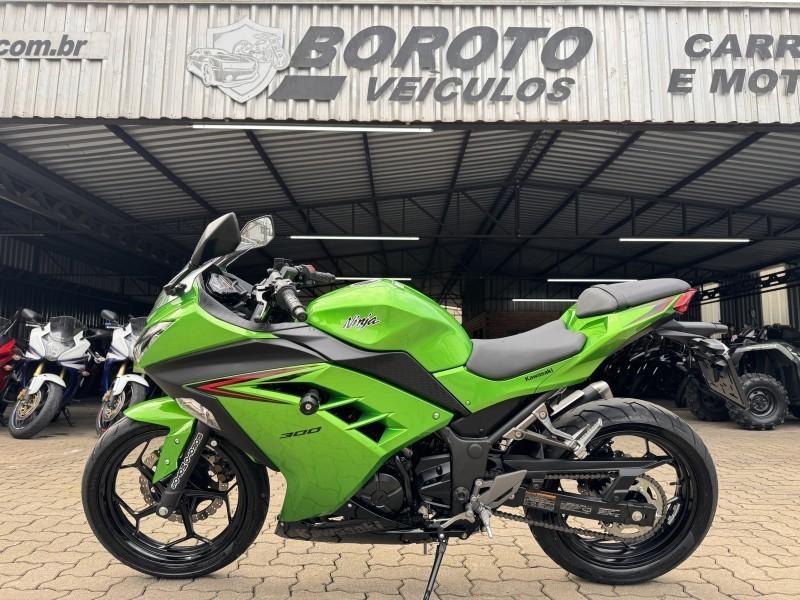 ninja 300  2024 bento goncalves
