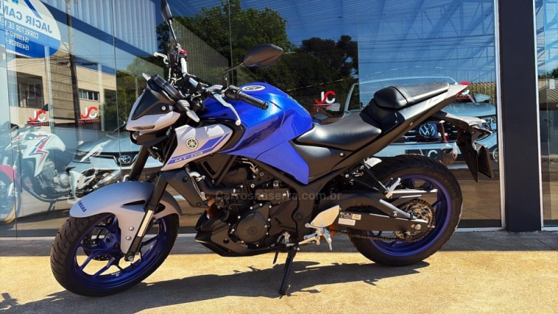 mt 03 abs 2022 campinas do sul