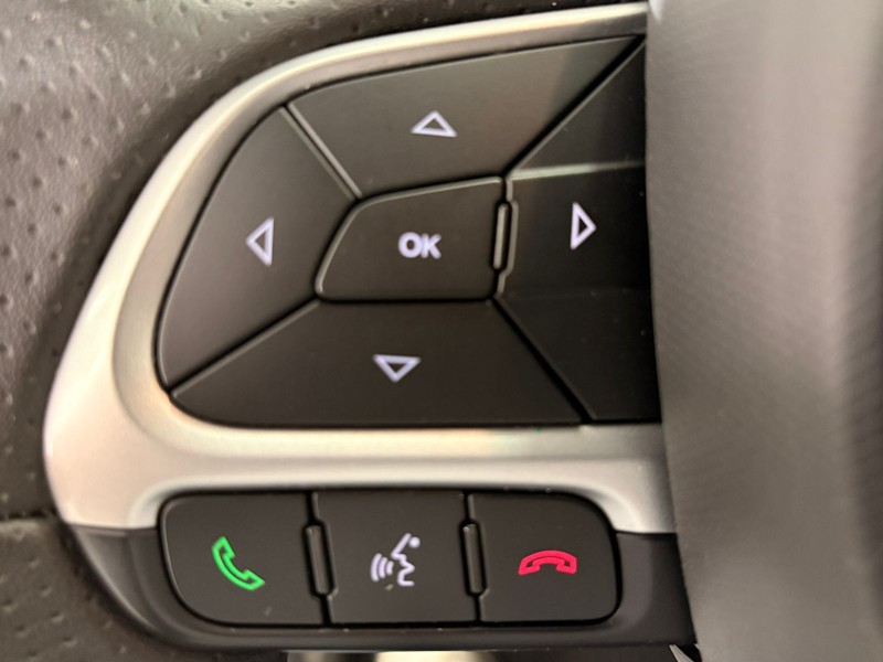 PULSE 1.0 AUDACE TURBO 200 12V FLEX 4P AUTOMÁTICO - 2024 - FARROUPILHA