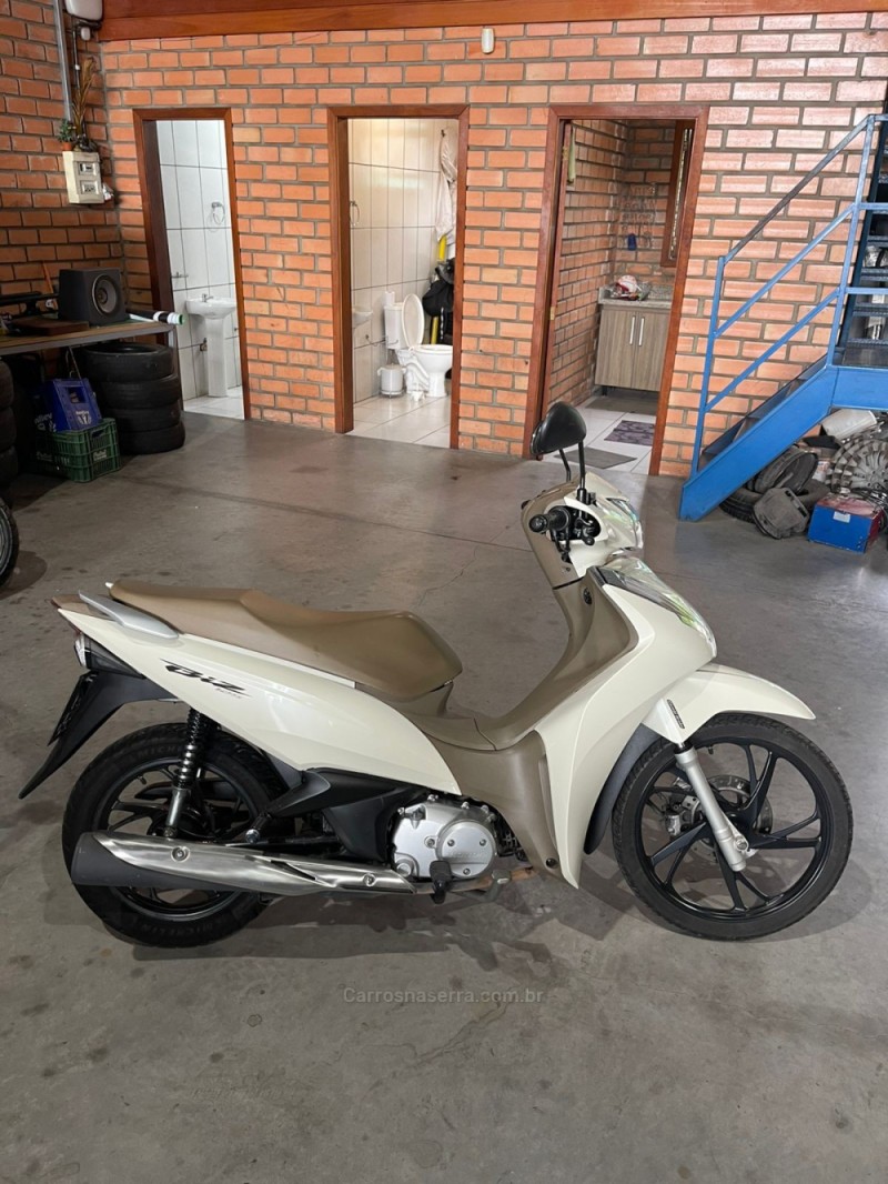 biz 125   2021 bento goncalves