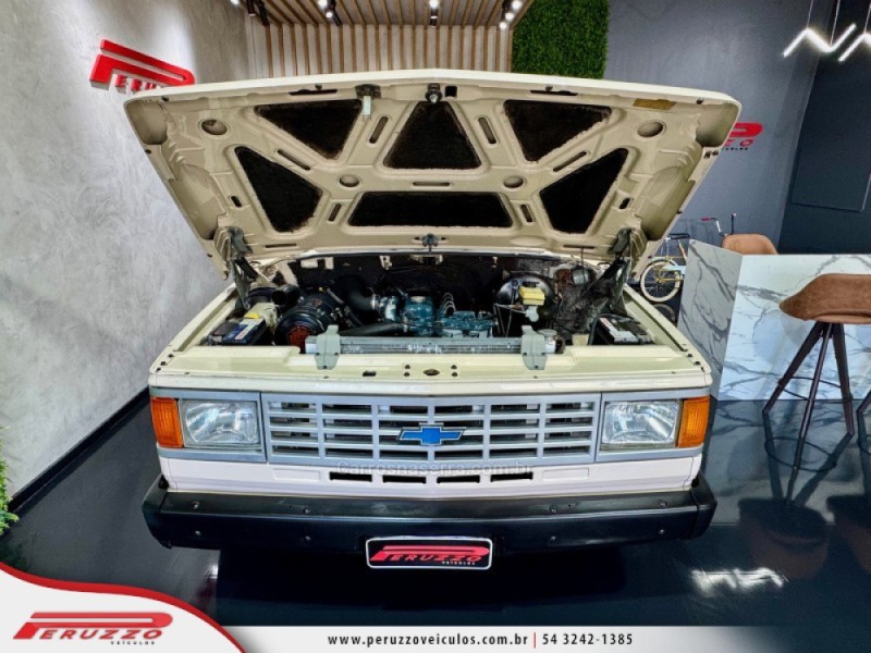 D20 4.0 CUSTOM S CS 8V DIESEL 2P MANUAL - 1991 - NOVA PRATA