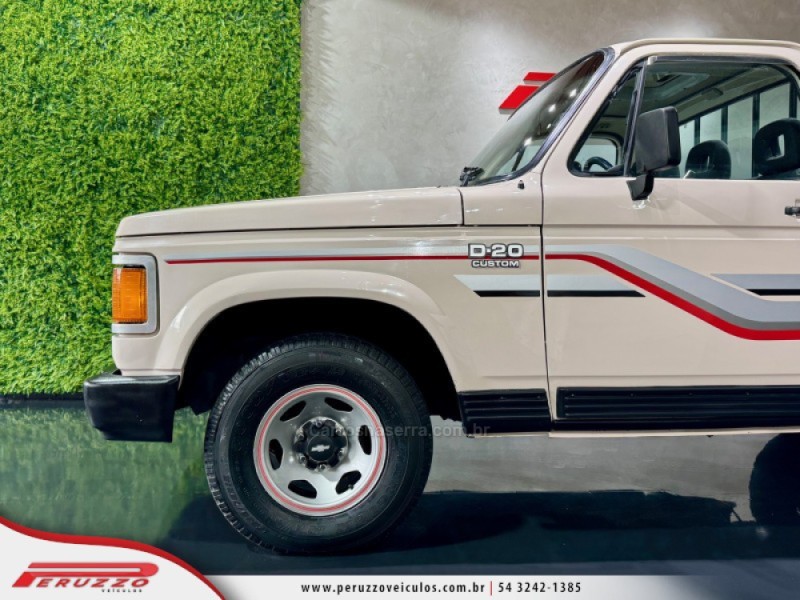 D20 4.0 CUSTOM S CS 8V DIESEL 2P MANUAL - 1991 - NOVA PRATA