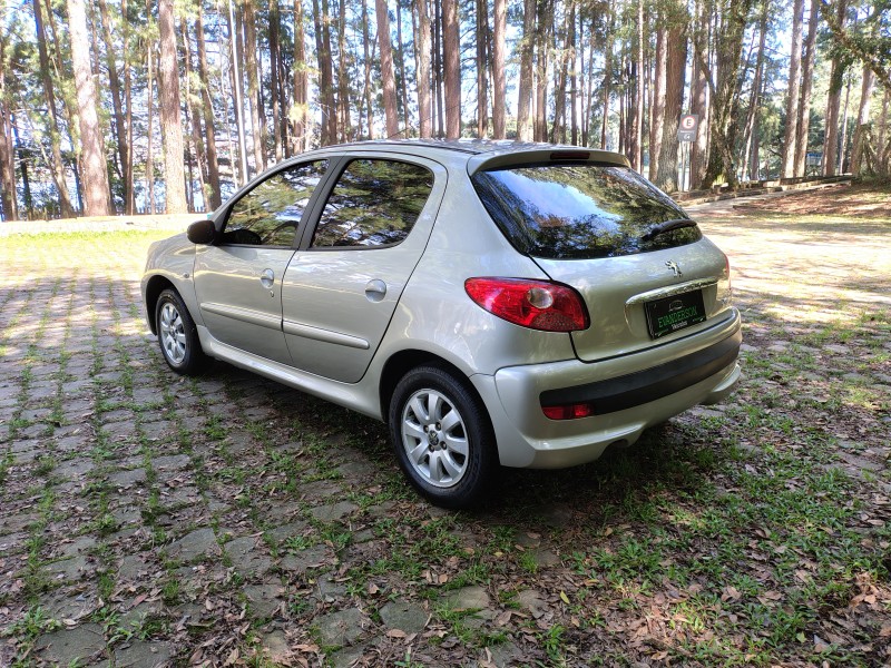 207 1.4 XR 8V FLEX 4P MANUAL - 2010 - CAXIAS DO SUL