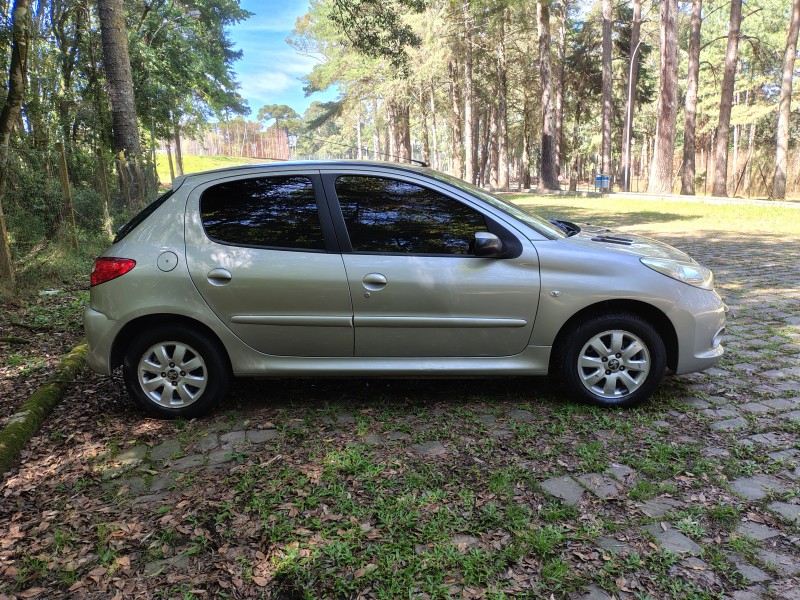 207 1.4 XR 8V FLEX 4P MANUAL - 2010 - CAXIAS DO SUL