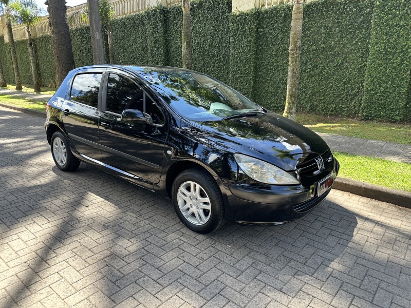 307 1.6 PRESENCE 16V FLEX 4P MANUAL - 2006 - CAXIAS DO SUL