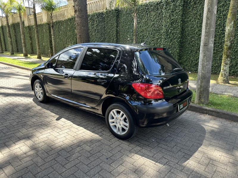 307 1.6 PRESENCE 16V FLEX 4P MANUAL - 2006 - CAXIAS DO SUL