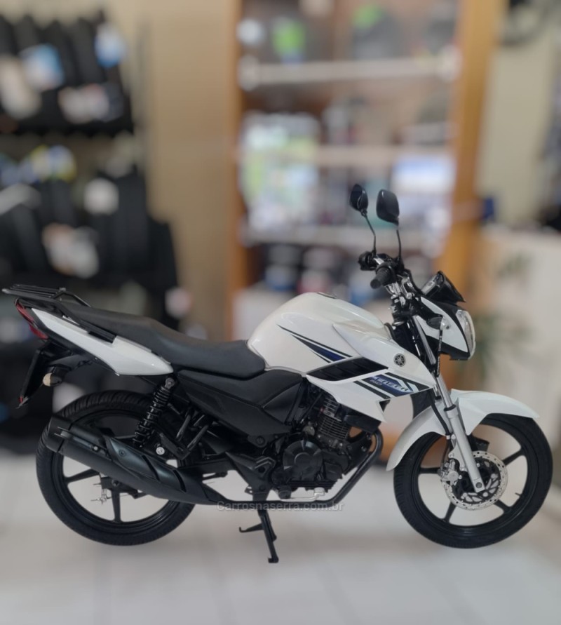 fazer  2014 novo hamburgo