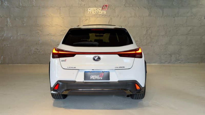 UX 250H 2.0 16V DYNAMIC HÍBRIDO 4P AUTOMÁTICO - 2019 - CAXIAS DO SUL