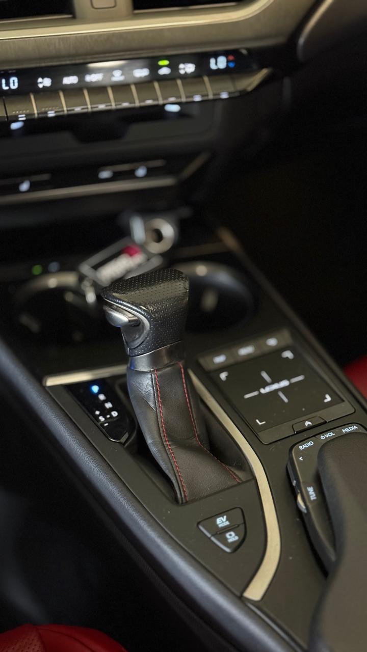 UX 250H 2.0 16V DYNAMIC HÍBRIDO 4P AUTOMÁTICO - 2019 - CAXIAS DO SUL