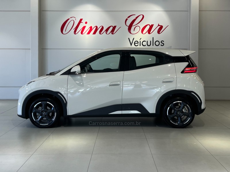 DOLPHIN MINI ELÉTRICO 4P AUTOMÁTICO - 2026 - FLORES DA CUNHA